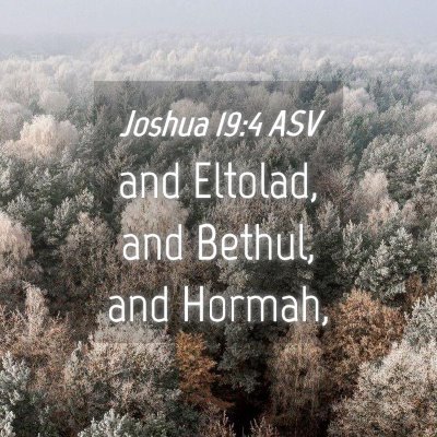 Picture 04 - Joshua 19:4 ASV - and Eltolad, and Bethul, and - Bible Verse Picture