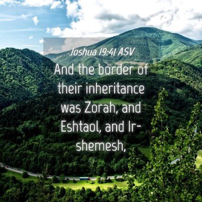Picture 04 - Joshua 19:41 ASV - And the border of their inheritance was Zorah, - Bible Verse Picture