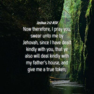 Picture 04 - Joshua 2:12 ASV - Now therefore, I pray you, swear unto me by - Bible Verse Picture
