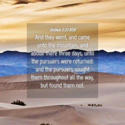 Picture 04 - Joshua 2:22 ASV - And they went, and came unto the mountain, and - Bible Verse Picture