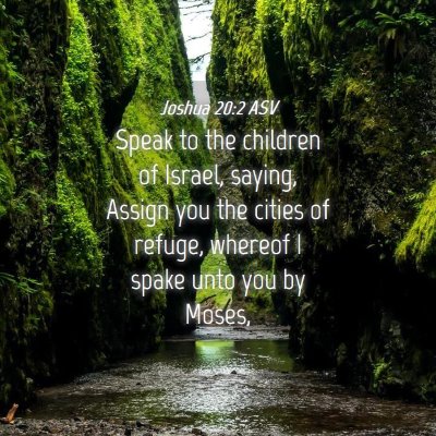 Picture 04 - Joshua 20:2 ASV - Speak to the children of Israel, saying, Assign - Bible Verse Picture