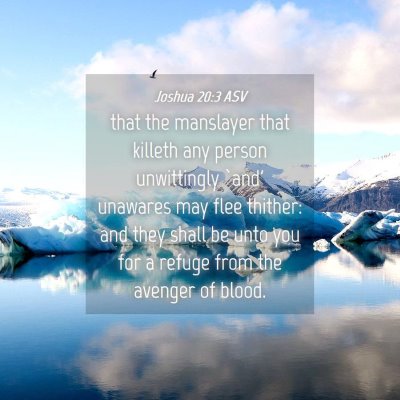 Picture 04 - Joshua 20:3 ASV - that the manslayer that killeth any person - Bible Verse Picture