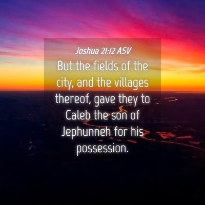 Picture 04 - Joshua 21:12 ASV - But the fields of the city, and the villages - Bible Verse Picture