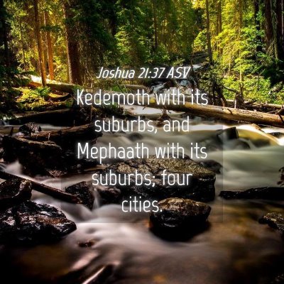 Picture 04 - Joshua 21:37 ASV - Kedemoth with its suburbs, and Mephaath with its - Bible Verse Picture