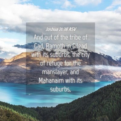 Picture 04 - Joshua 21:38 ASV - And out of the tribe of Gad, Ramoth in Gilead - Bible Verse Picture