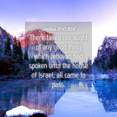 Picture 04 - Joshua 21:45 ASV - There failed not aught of any good thing which - Bible Verse Picture