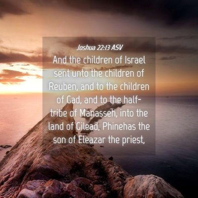 Picture 04 - Joshua 22:13 ASV - And the children of Israel sent unto the children - Bible Verse Picture