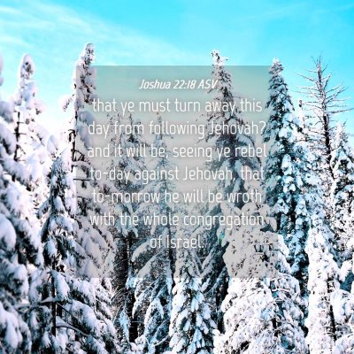 Picture 04 - Joshua 22:18 ASV - that ye must turn away this day from following - Bible Verse Picture
