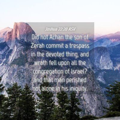 Picture 04 - Joshua 22:20 ASV - Did not Achan the son of Zerah commit a trespass - Bible Verse Picture