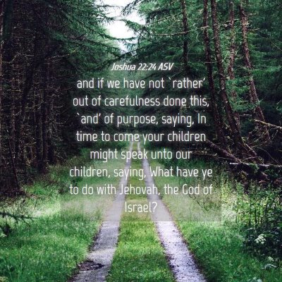 Picture 04 - Joshua 22:24 ASV - and if we have not `rather' out of carefulness - Bible Verse Picture