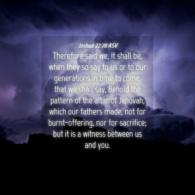 Picture 04 - Joshua 22:28 ASV - Therefore said we, It shall be, when they so say - Bible Verse Picture