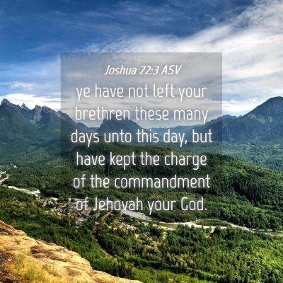 Picture 04 - Joshua 22:3 ASV - ye have not left your brethren these many days - Bible Verse Picture