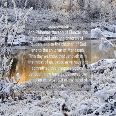 Picture 04 - Joshua 22:31 ASV - And Phinehas the son of Eleazar the priest said - Bible Verse Picture