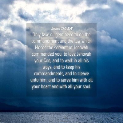 Picture 04 - Joshua 22:5 ASV - Only take diligent heed to do the commandment and - Bible Verse Picture