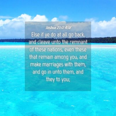 Picture 04 - Joshua 23:12 ASV - Else if ye do at all go back, and cleave unto the - Bible Verse Picture