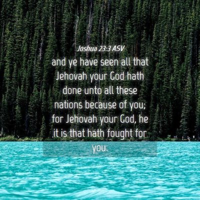 Picture 04 - Joshua 23:3 ASV - and ye have seen all that Jehovah your God hath - Bible Verse Picture