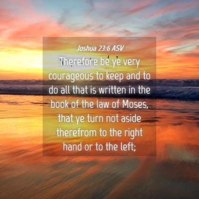 Picture 04 - Joshua 23:6 ASV - Therefore be ye very courageous to keep and to do - Bible Verse Picture