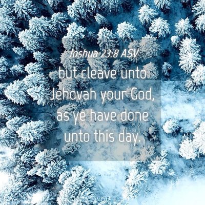 Picture 04 - Joshua 23:8 ASV - but cleave unto Jehovah your God, as ye have done - Bible Verse Picture