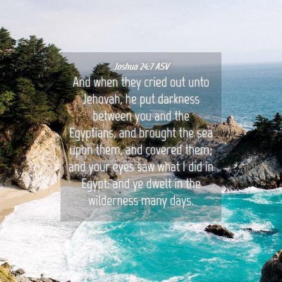 Picture 04 - Joshua 24:7 ASV - And when they cried out unto Jehovah, he put - Bible Verse Picture