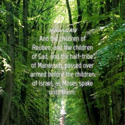 Picture 04 - Joshua 4:12 ASV - And the children of Reuben, and the children of - Bible Verse Picture