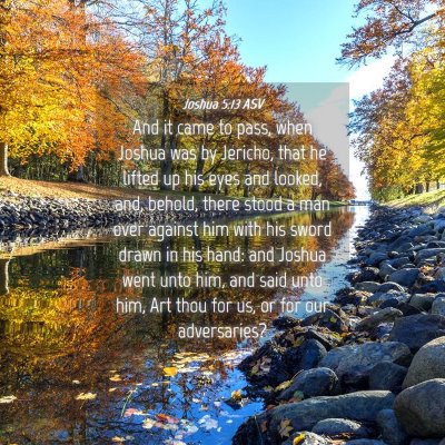 Picture 04 - Joshua 5:13 ASV - And it came to pass, when Joshua was by Jericho, - Bible Verse Picture