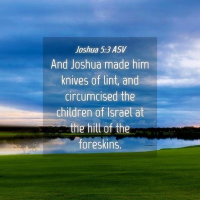Picture 04 - Joshua 5:3 ASV - And Joshua made him knives of lint, and - Bible Verse Picture