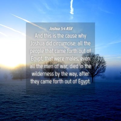 Picture 04 - Joshua 5:4 ASV - And this is the cause why Joshua did circumcise: - Bible Verse Picture