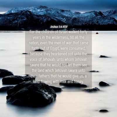 Picture 04 - Joshua 5:6 ASV - For the children of Israel walked forty years in - Bible Verse Picture