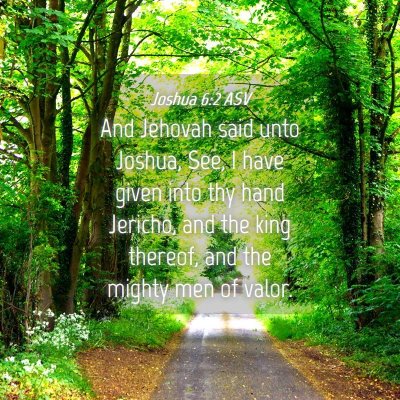Picture 04 - Joshua 6:2 ASV - And Jehovah said unto Joshua, See, I have given - Bible Verse Picture