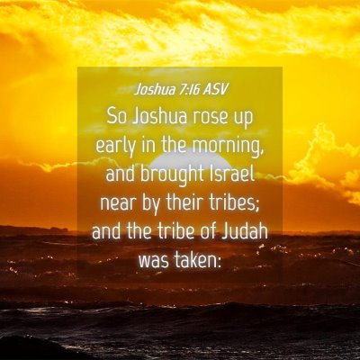 Picture 04 - Joshua 7:16 ASV - So Joshua rose up early in the morning, and - Bible Verse Picture