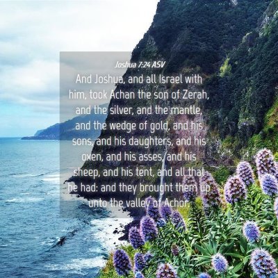 Picture 04 - Joshua 7:24 ASV - And Joshua, and all Israel with him, took Achan - Bible Verse Picture