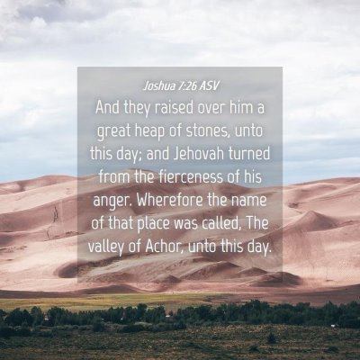 Picture 04 - Joshua 7:26 ASV - And they raised over him a great heap of stones, - Bible Verse Picture