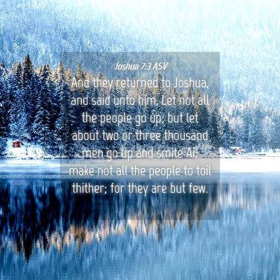 Picture 04 - Joshua 7:3 ASV - And they returned to Joshua, and said unto him, - Bible Verse Picture