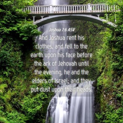 Picture 04 - Joshua 7:6 ASV - And Joshua rent his clothes, and fell to the - Bible Verse Picture