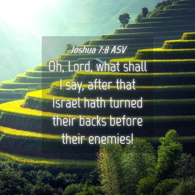 Picture 04 - Joshua 7:8 ASV - Oh, Lord, what shall I say, after that Israel - Bible Verse Picture
