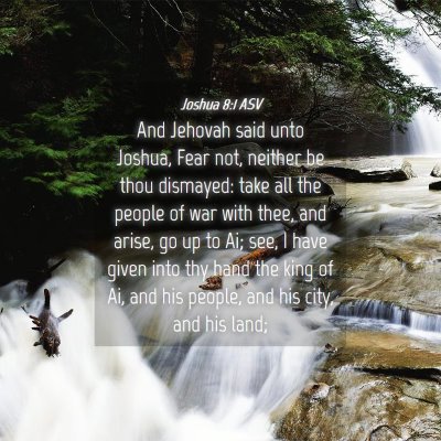 Picture 04 - Joshua 8:1 ASV - And Jehovah said unto Joshua, Fear not, neither - Bible Verse Picture