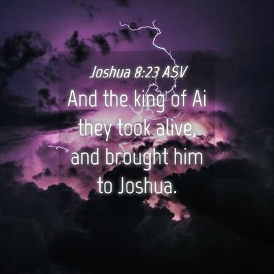Picture 04 - Joshua 8:23 ASV - And the king of Ai they took alive, and brought - Bible Verse Picture