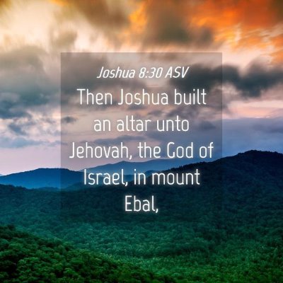 Picture 04 - Joshua 8:30 ASV - Then Joshua built an altar unto Jehovah, the God - Bible Verse Picture