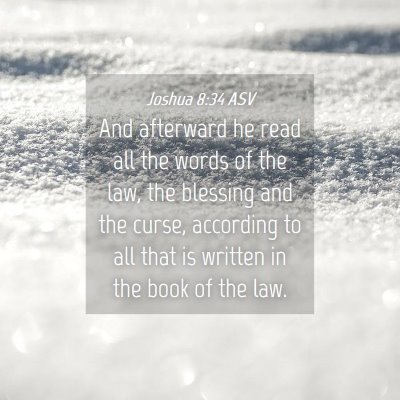 Picture 04 - Joshua 8:34 ASV - And afterward he read all the words of the law, - Bible Verse Picture