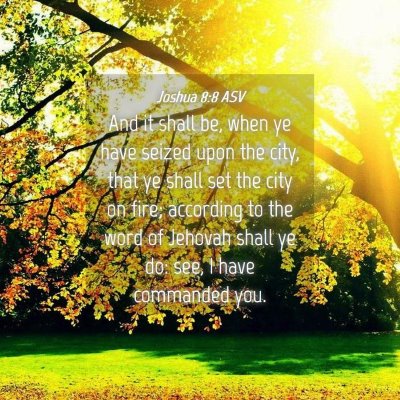 Picture 04 - Joshua 8:8 ASV - And it shall be, when ye have seized upon the - Bible Verse Picture