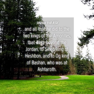Picture 04 - Joshua 9:10 ASV - and all that he did to the two kings of the - Bible Verse Picture