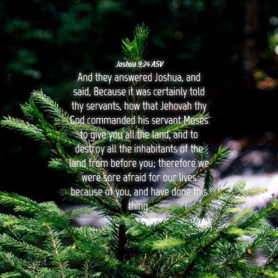 Picture 04 - Joshua 9:24 ASV - And they answered Joshua, and said, Because it - Bible Verse Picture