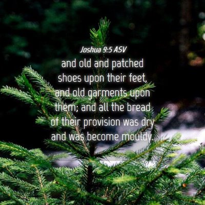 Picture 04 - Joshua 9:5 ASV - and old and patched shoes upon their feet, and - Bible Verse Picture