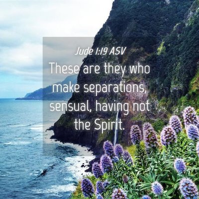 Picture 04 - Jude 1:19 ASV - These are they who make separations, sensual, - Bible Verse Picture