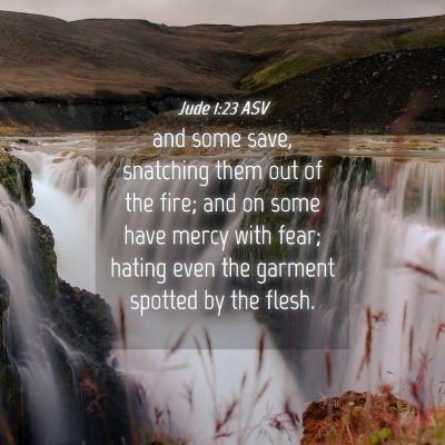 Picture 04 - Jude 1:23 ASV - and some save, snatching them out of the fire; - Bible Verse Picture