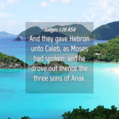 Picture 04 - Judges 1:20 ASV - And they gave Hebron unto Caleb, as Moses had - Bible Verse Picture