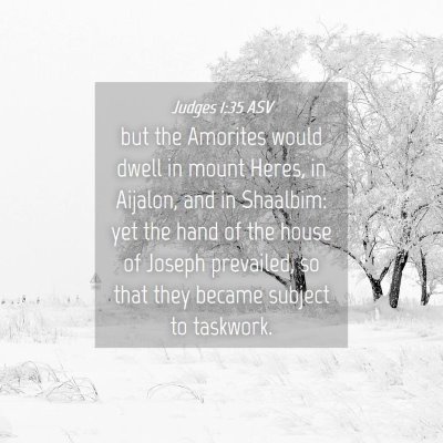 Picture 04 - Judges 1:35 ASV - but the Amorites would dwell in mount Heres, in - Bible Verse Picture
