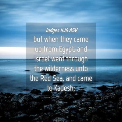 Picture 04 - Judges 11:16 ASV - but when they came up from Egypt, and Israel went - Bible Verse Picture