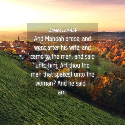 Picture 04 - Judges 13:11 ASV - And Manoah arose, and went after his wife, and - Bible Verse Picture