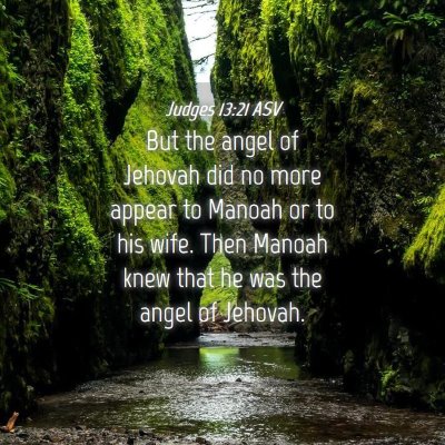 Picture 04 - Judges 13:21 ASV - But the angel of Jehovah did no more appear to - Bible Verse Picture